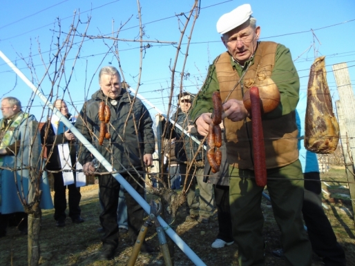 Szőlőetetés Vince napján