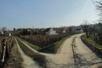 Monori Pincefalu, kirándulás Somlóhegyre, borkóstoló, bortúra