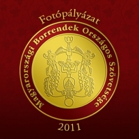 MBOSZ fotópályázat 2012