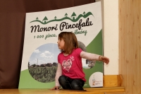 Márton_napi Újborünnep 2013, Monori Pincefalu, borkóstoló